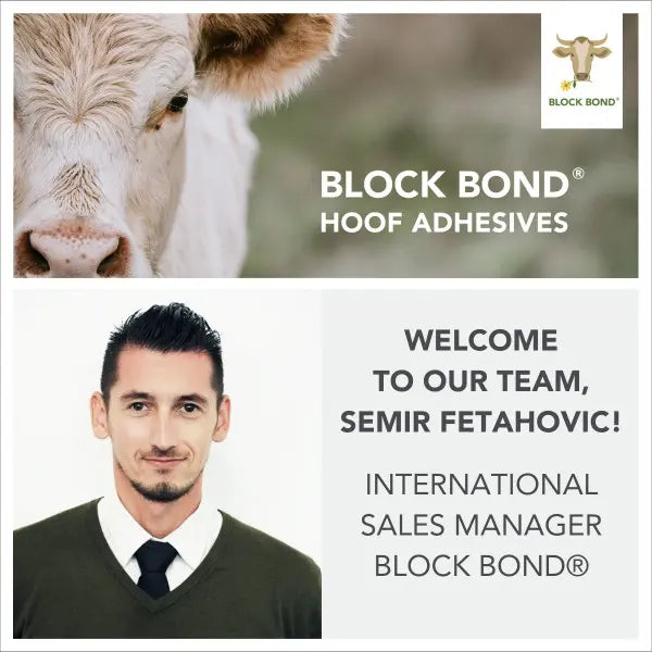 NEU IM TEAM: SEMIR FETAHOVIC