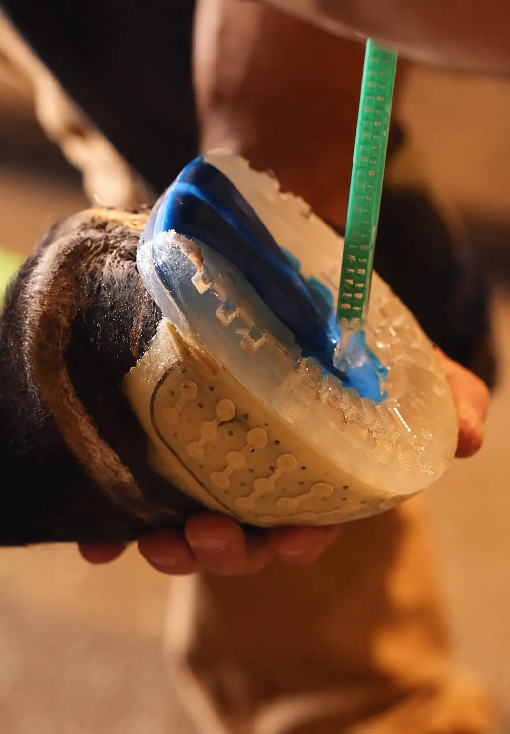 Hoof Fix Application - GLUETEC & WIKO